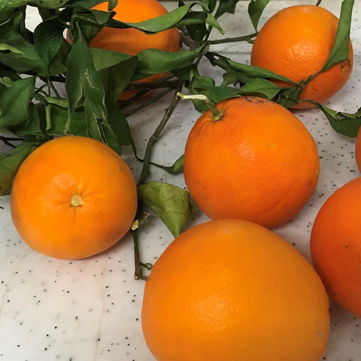 Unsere Orangen kommen vom Crowdfarming Naranjas del Carmen und sind bio.