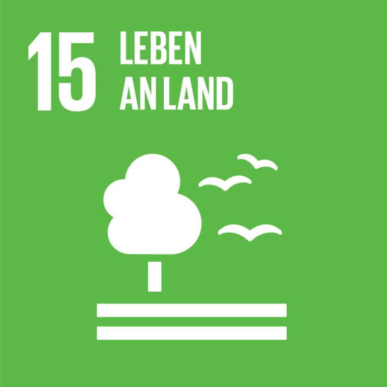 Wir unterstützen die 17 Nachhaltigkeitsziele (SDGs).