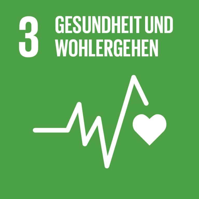 Wir unterstützen die 17 Nachhaltigkeitsziele (SDGs).