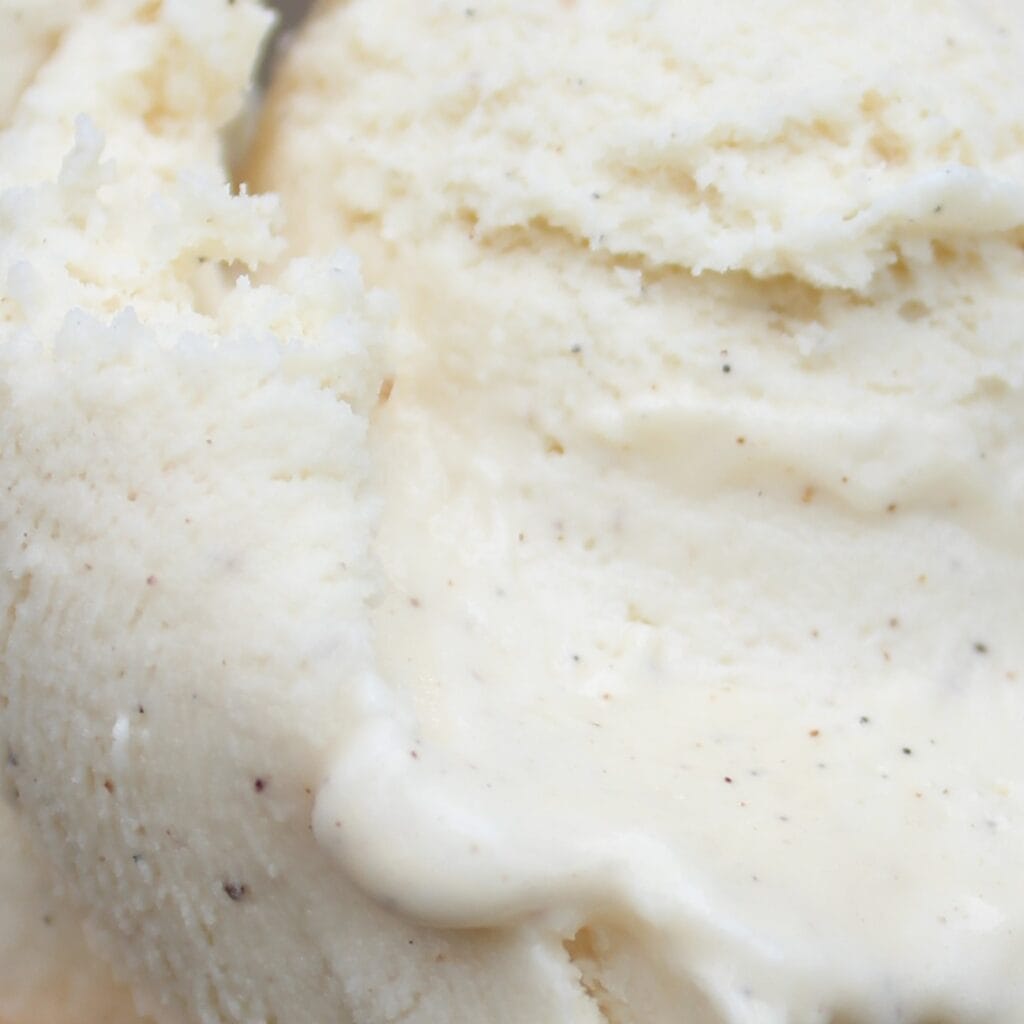 Unser Bourbon Vanille ist eine neue Rezeptur und ein tolles Gelato for Future!