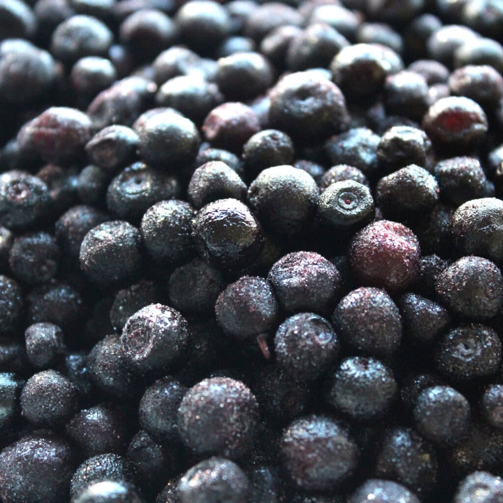 Unsere bio Waldheidelbeeren sind super gesund!